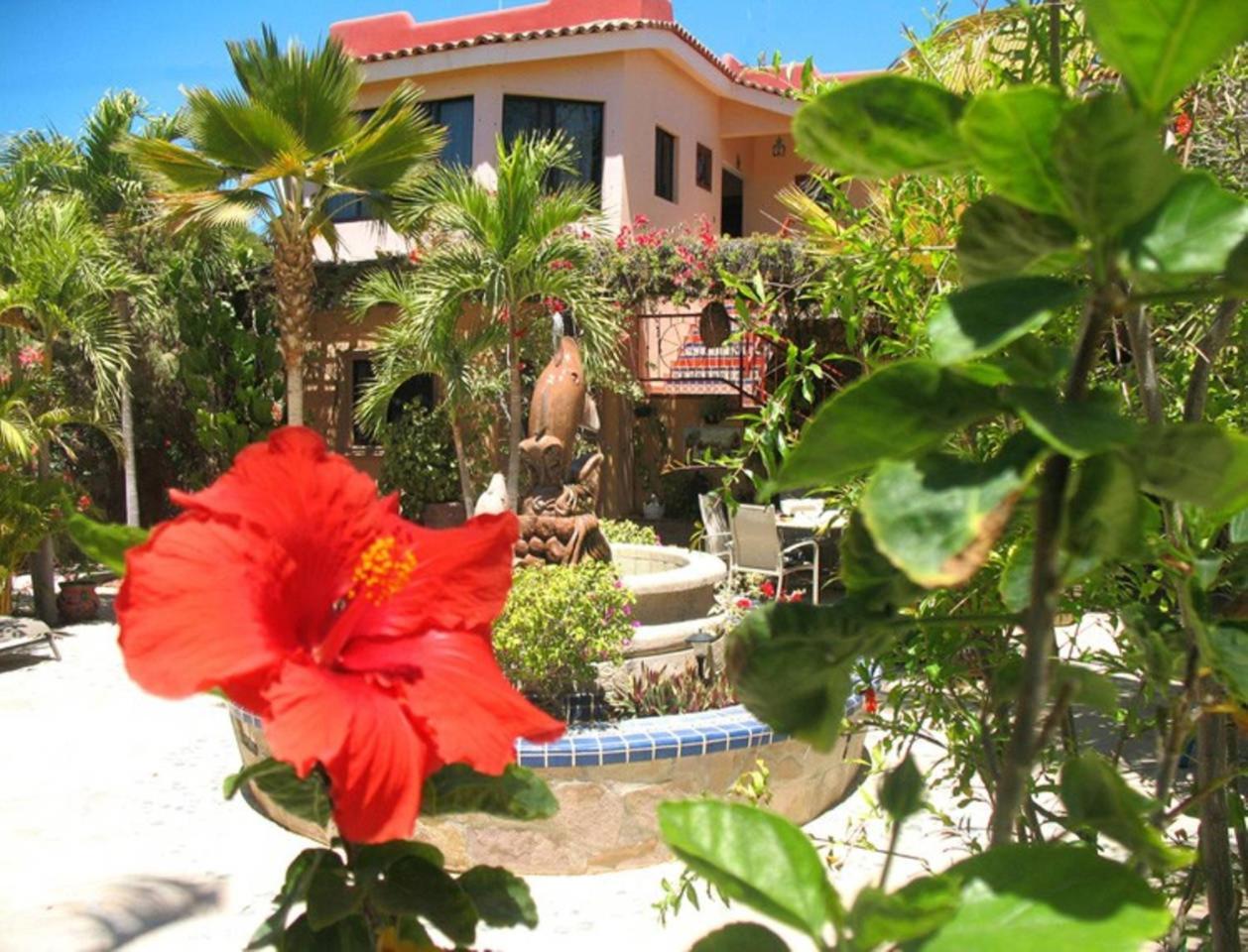 Bed and Breakfast Hacienda De Palmas Ла-Рибера Экстерьер фото